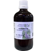 Natura Sanat Vitex agnus castus fruct tinctuur bio (100 ml)