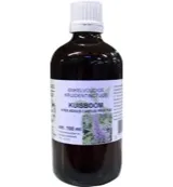Natura Sanat Vitex agnus castus fruct tinctuur bio (100 ml)