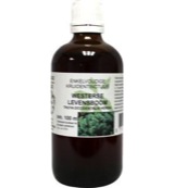 Natura Sanat Thuja occidentalis / levensboom tinctuur (100 ml)