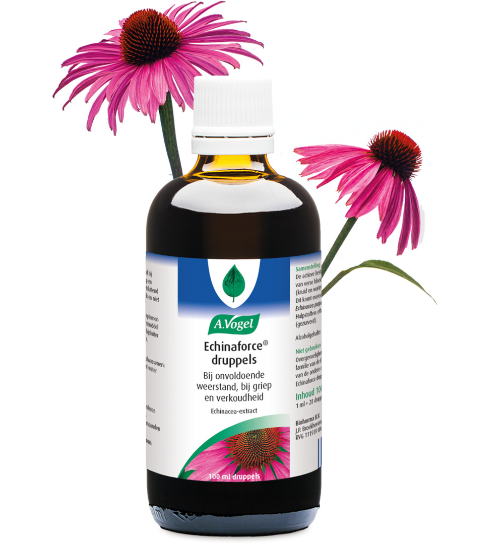 A.Vogel Echinaforce Druppels (100 ml) - image 5