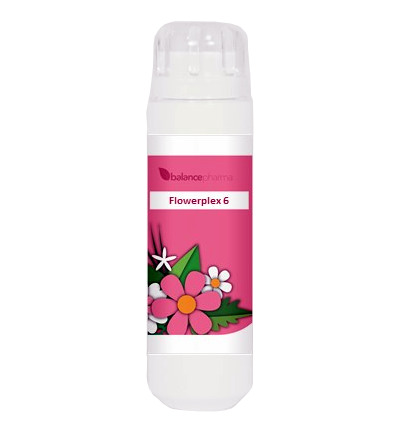 Balance Pharma HFP006 Vitaliteit flowerplex (6 gr)