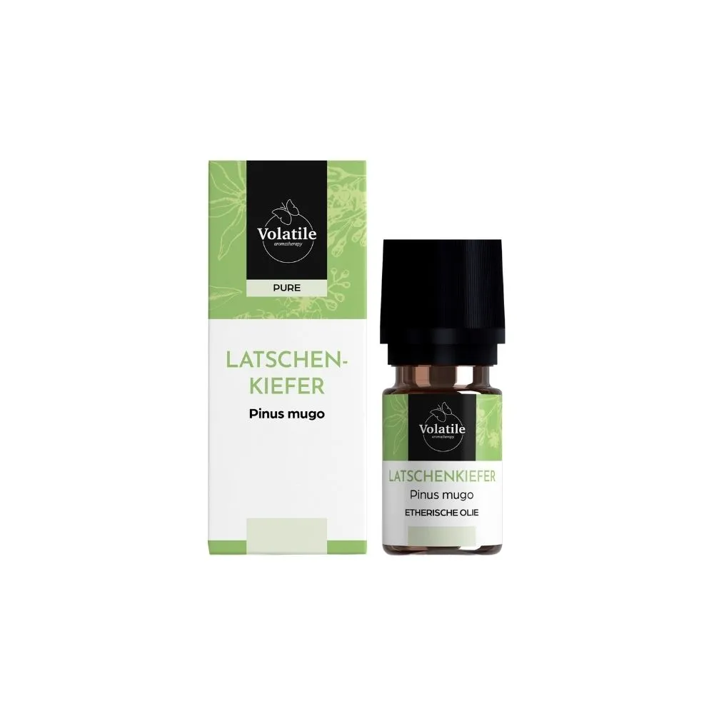 Volatile Latchenkiefer (10 ml)