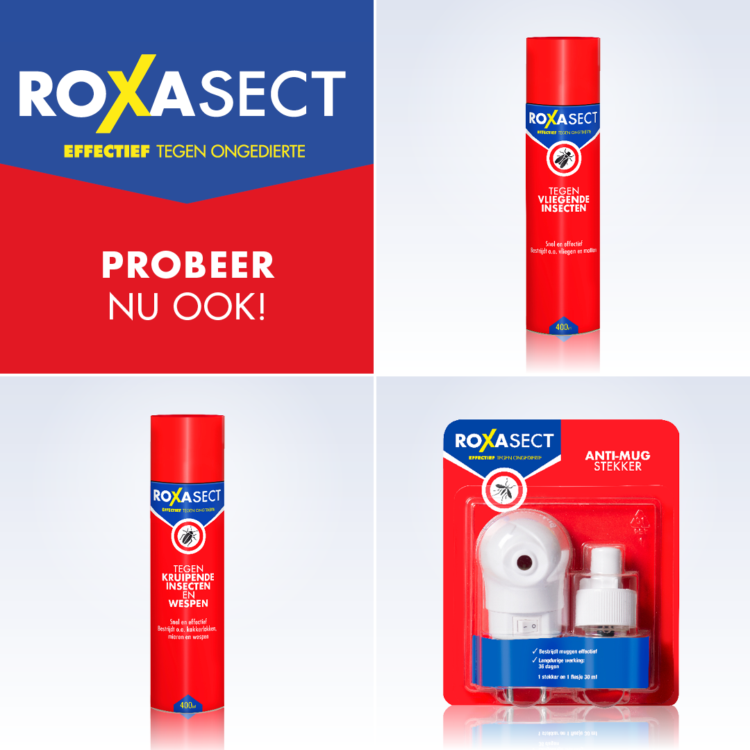 Roxasect Fruitvliegjes (1 stuk) - image 5