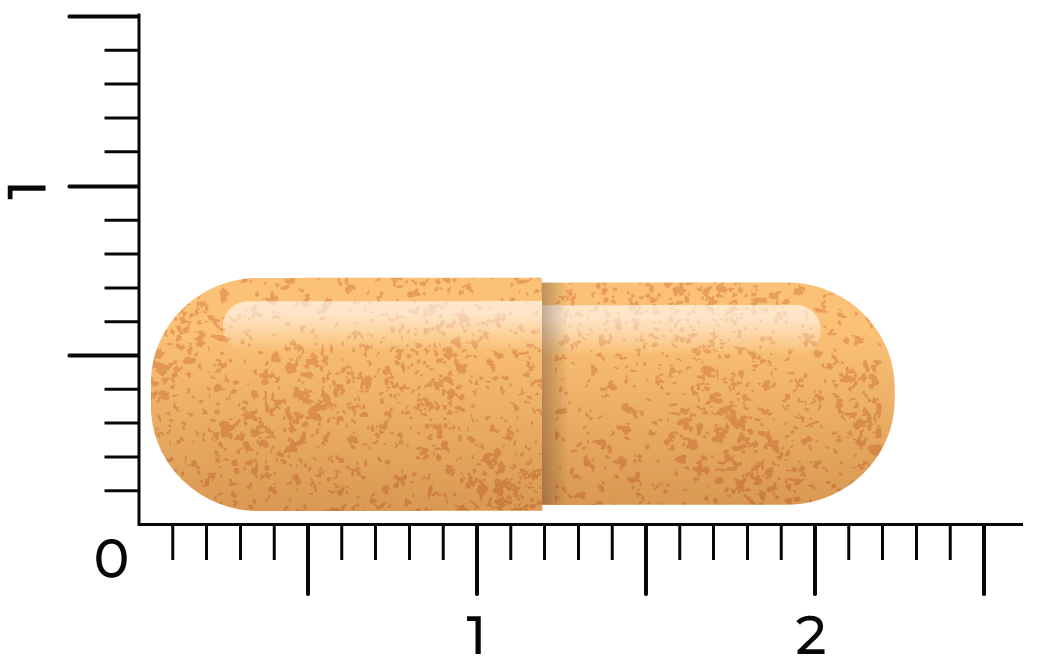 Vitakruid Curcuma C3-2X (95% Curcuminoïden) Met Bioperine® (60 vega capsules) - image 4
