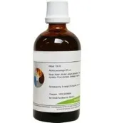 Balance Pharma HGP037 Gemmoplex wrat lymf (100 ml)