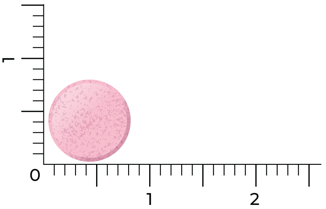 Vitakruid B12 1000 Mcg Actief Methylcobalamine Vitamine (90 stuks) - image 3