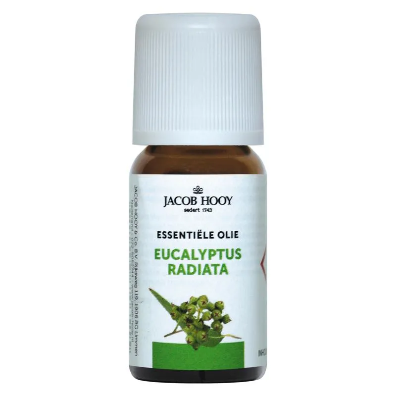 Jacob Hooy Eucalyptus radiata olie (10 ml)